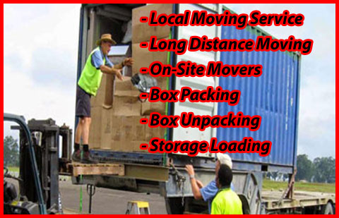Packers And Movers Noida Sector 42